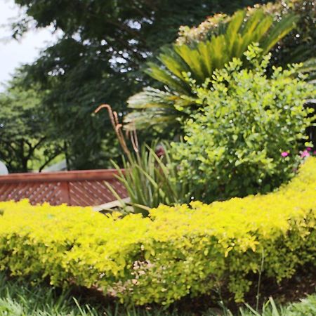 Hotel Syvanna Wellness And Spa Cerritos المظهر الخارجي الصورة